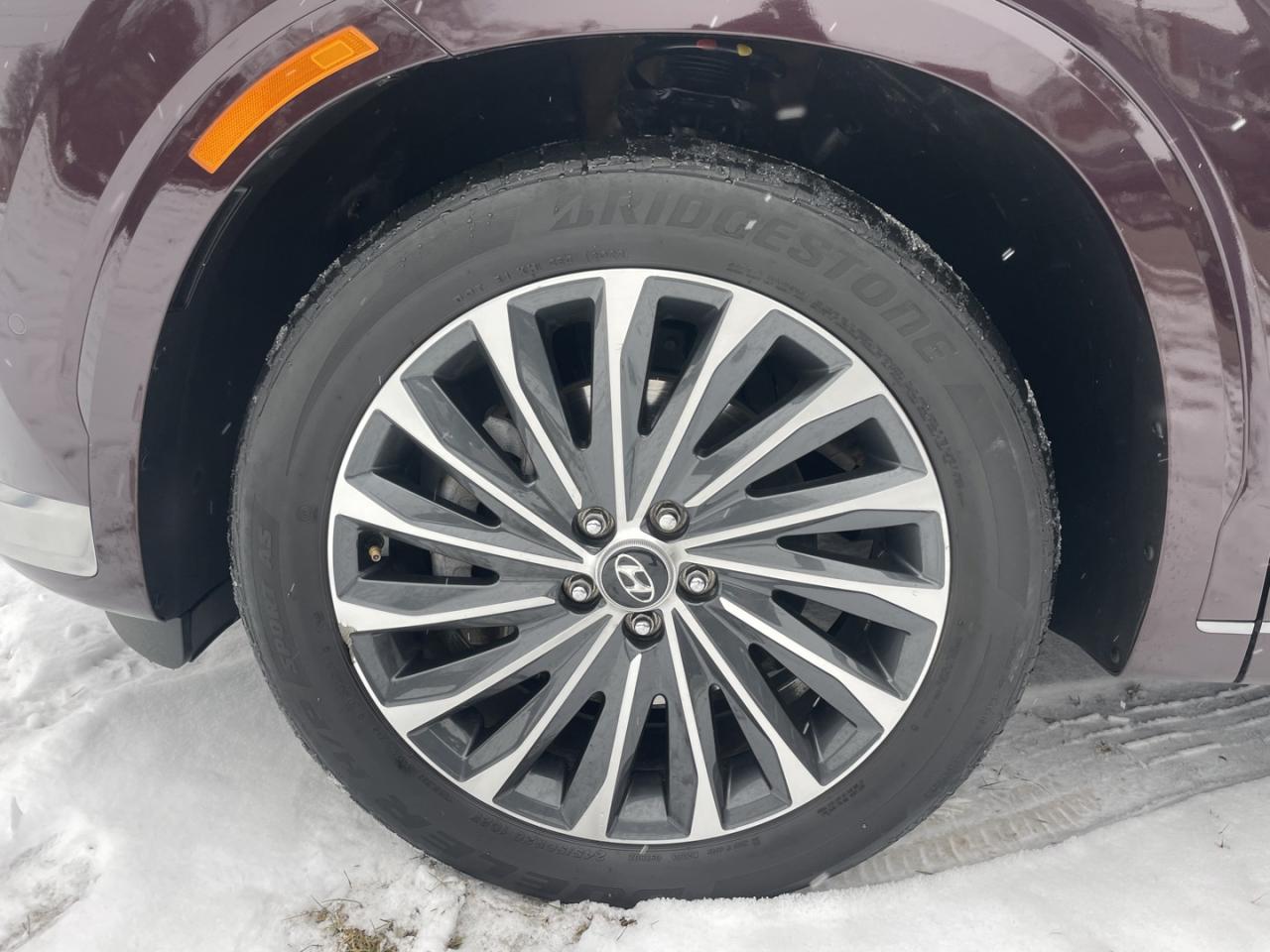 2023 Hyundai PALISADE Ultimate Calligraphy Photo