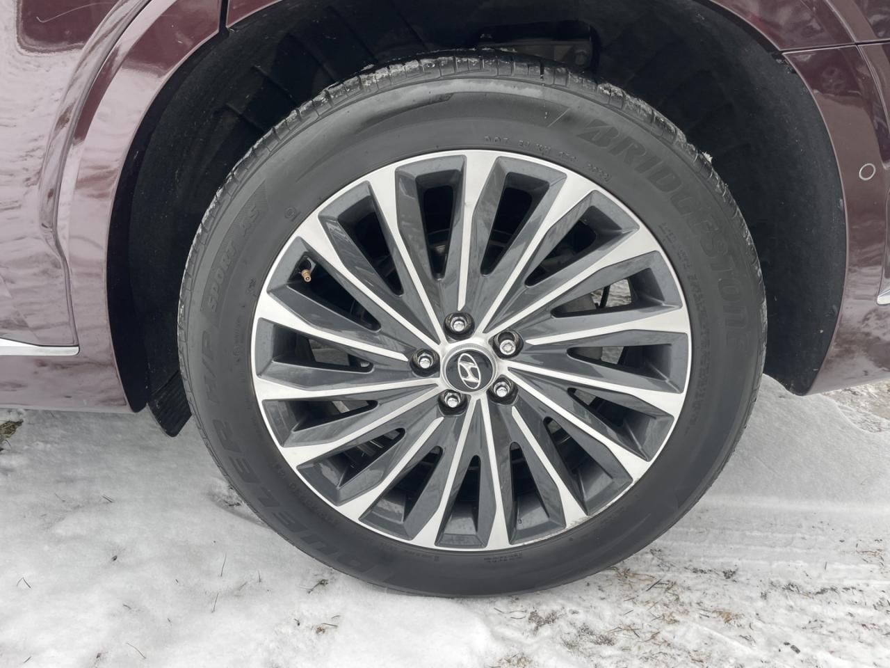 2023 Hyundai PALISADE Ultimate Calligraphy Photo