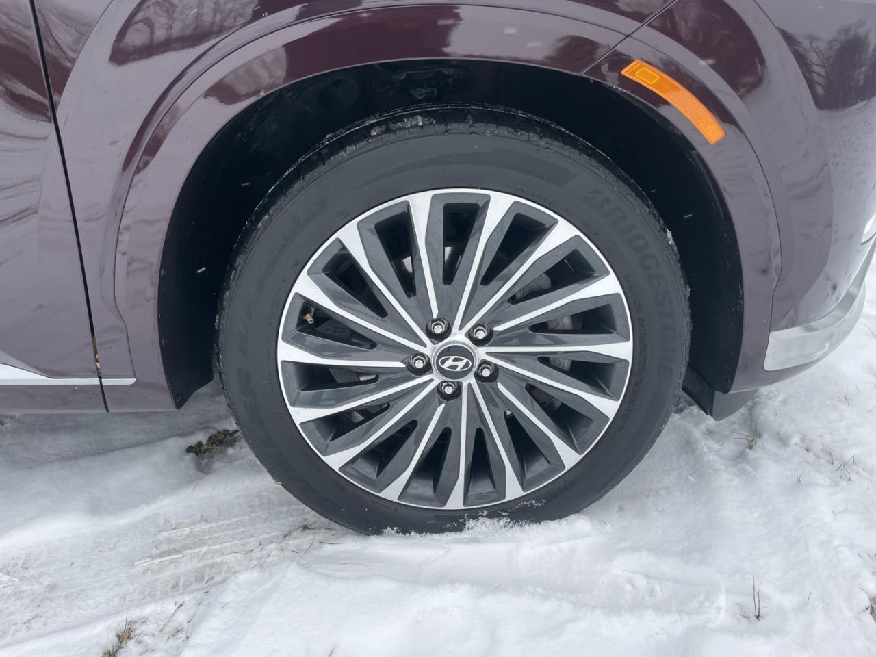 2023 Hyundai PALISADE Ultimate Calligraphy Photo