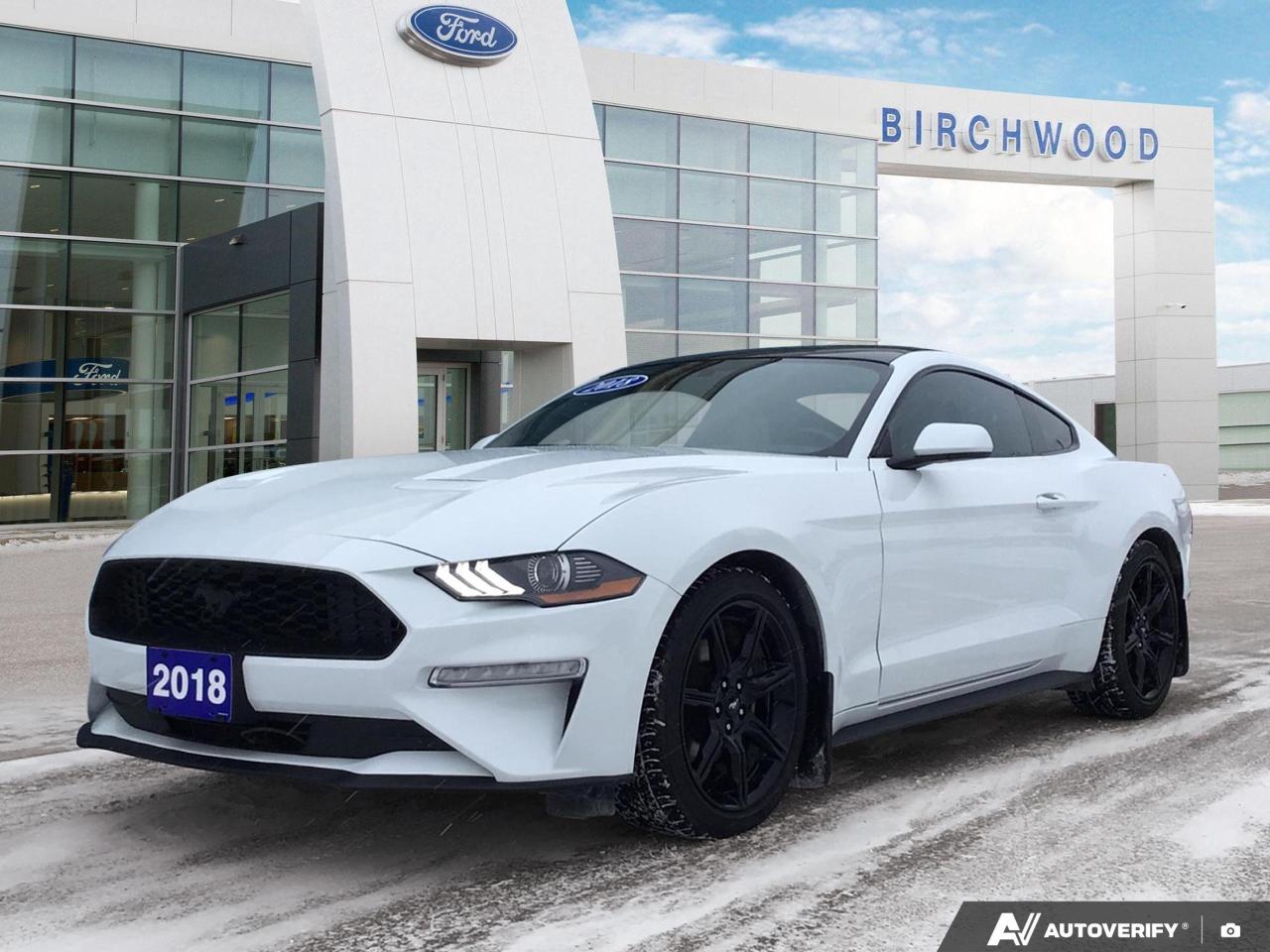 Experience the thrill of American muscle with this 2018 Ford Mustang EcoBoost! This iconic sports car combines power and efficiency, perfect for the driving enthusiast who demands both performance and practicality.

- 2.3L 4-cylinder EcoBoost engine for impressive power and fuel economy
- Sleek Oxford White exterior paired with a stylish Ebony interior
- 6-speed manual transmission for an engaging driving experience
- Rear-wheel drive for classic sports car handling
- SYNC infotainment system with Bluetooth connectivity
- Advanced safety features including multiple airbags and ABS
- Leather/aluminum steering wheel for a premium feel

Dont miss your chance to own this stunning Mustang. Visit Birchwood Ford today to schedule a test drive and experience the perfect blend of power and style. Our team is ready to answer any questions and help you start your journey towards owning this impressive vehicle. Book your appointment now!
Birchwood Ford on Regent is the Home of Market Value Pricing.


Reconditioning our Pre-Owned Inventory is a source of pride for us! We complete an extremely thorough process both mechanically and cosmetically before it passes our standard. Our customers can shop with confidence knowing Birchwood Ford has won AutoTraders 2024 Best Priced Dealer Award. Transparency is what you deserve! 

When purchasing a pre-owned vehicle from us we will share all of the information on the vehicle. Including CARFAX, a copy of all the inspections we performed, a copy of the invoices showing you exactly what we did & spent on reconditioning the vehicle.



Call us at 204-661-9555or go to WWW.BIRCHWOODFORD.CA to browse our inventory! 

People who Try Birchwood Ford Buy from Birchwood Ford!   

       

Dealer permit #4454
Dealer permit #4454