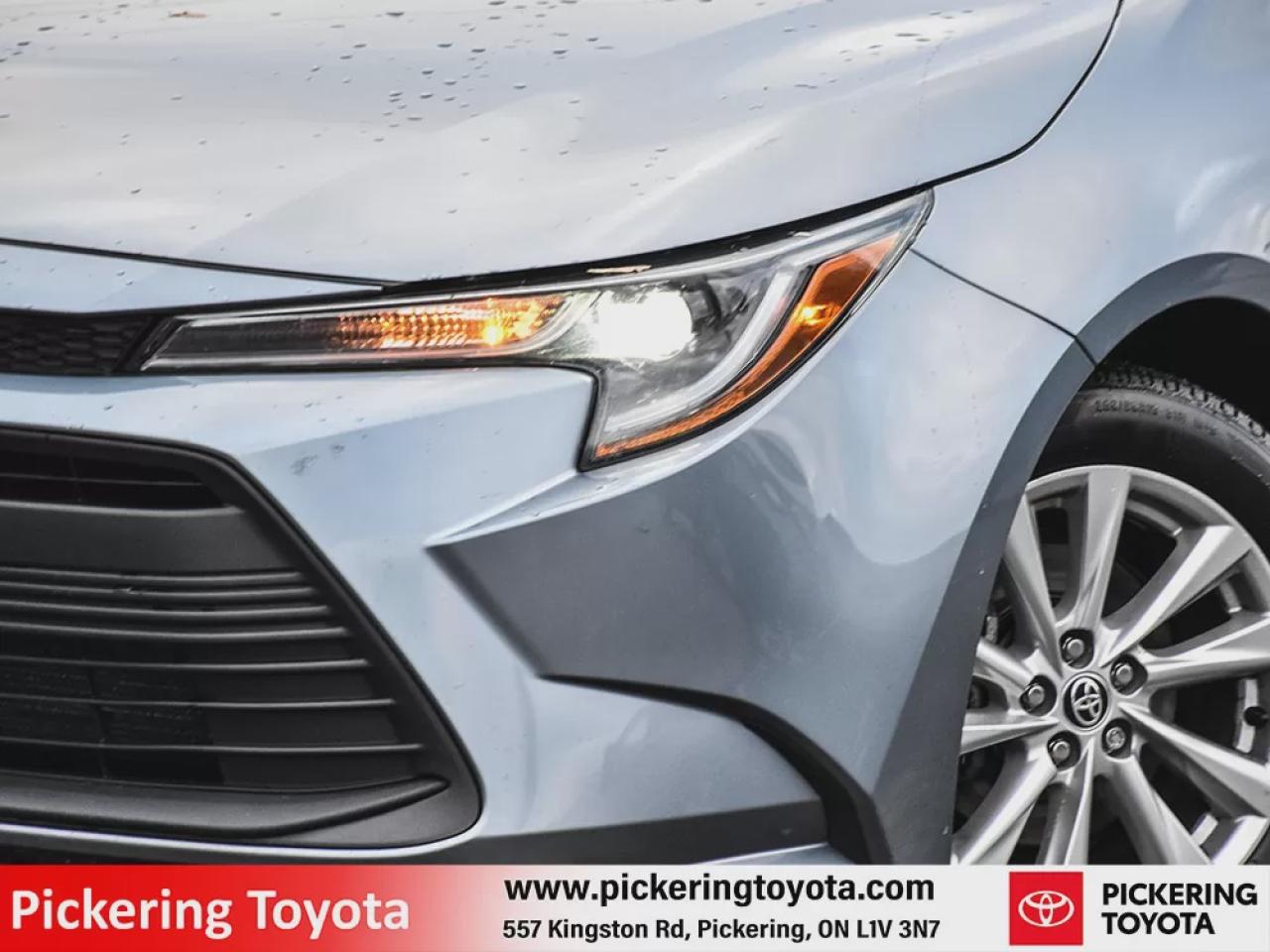 2024 Toyota Corolla LE Photo