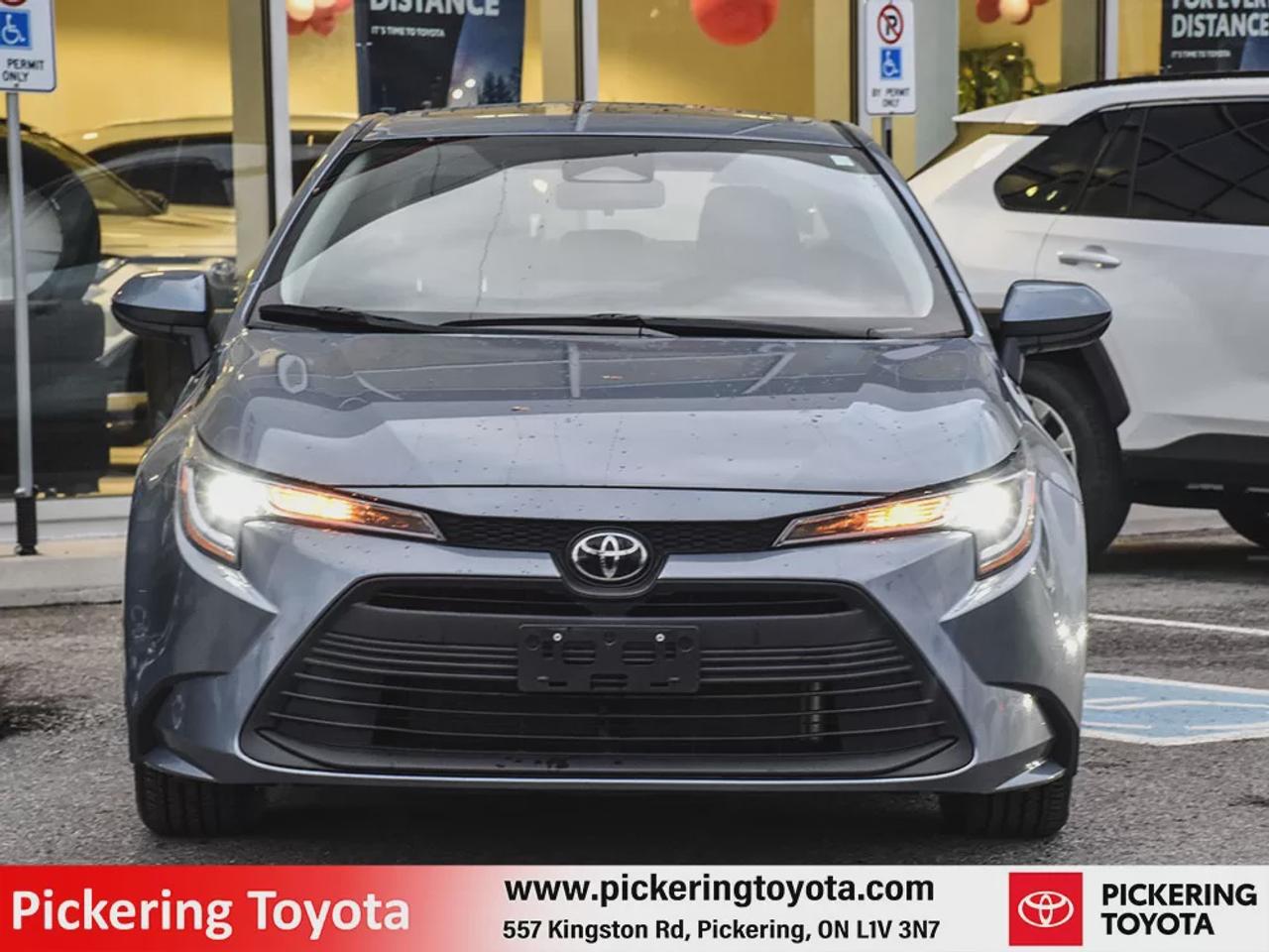 2024 Toyota Corolla LE Photo