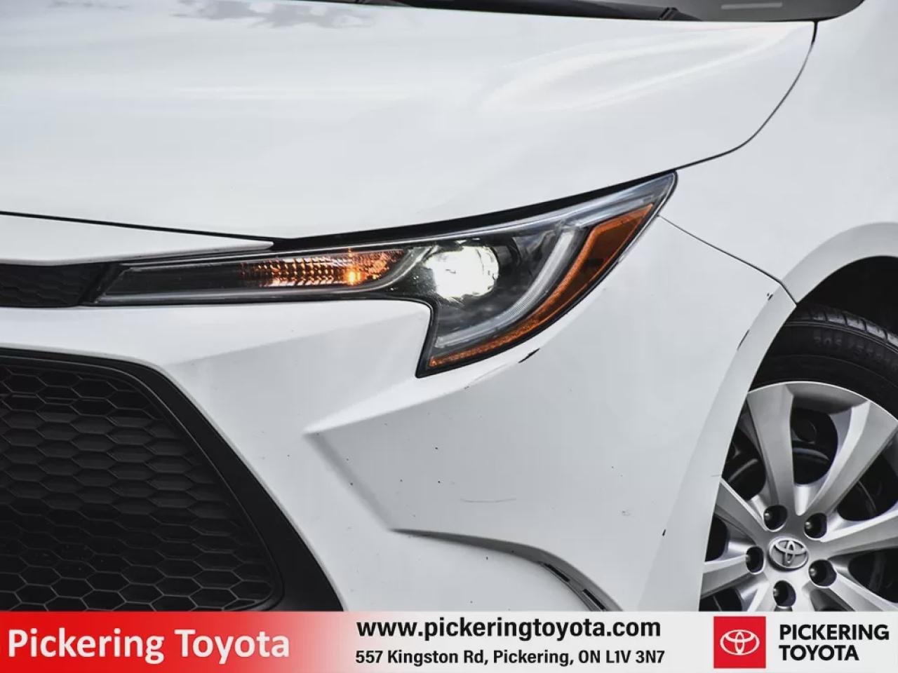 2022 Toyota Corolla LE Photo