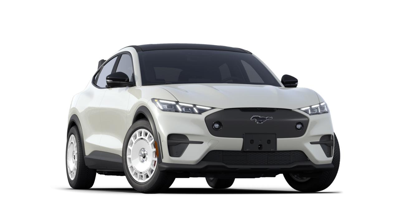 2025 Ford Mustang Mach-E GT AWD Photo