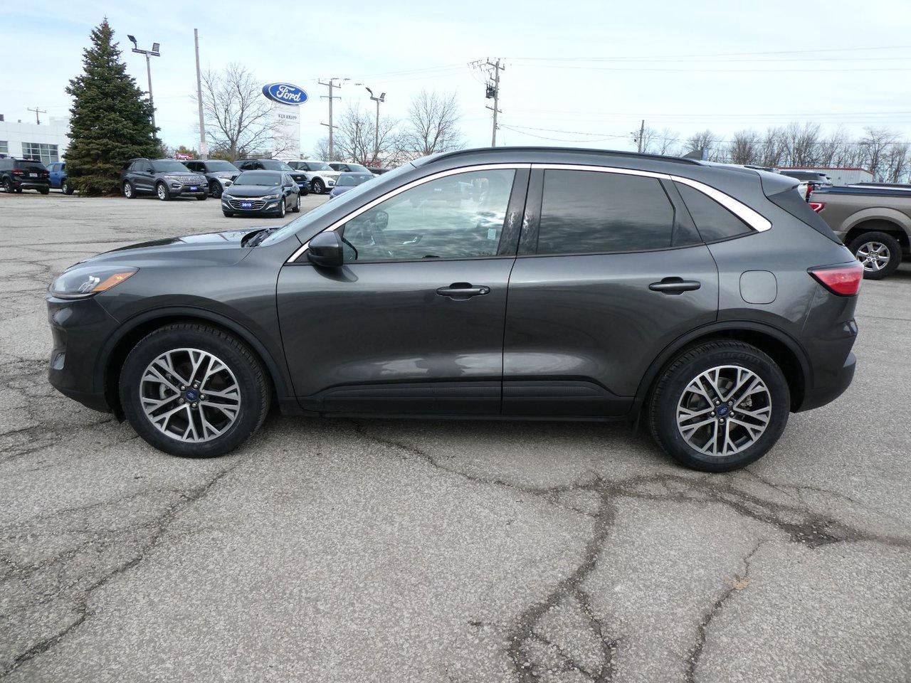 2020 Ford Escape SEL SEL Photo