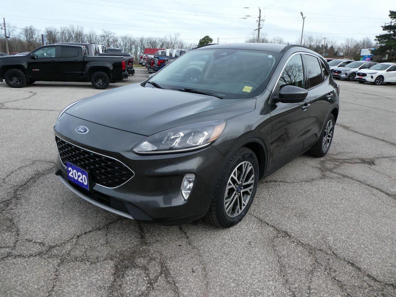 Used 2020 Ford Escape SEL SEL for sale in Essex, ON