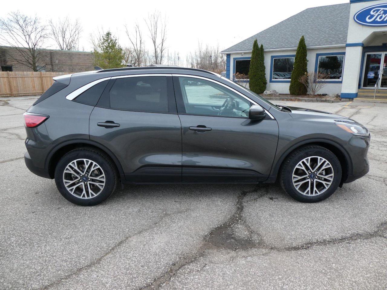 2020 Ford Escape SEL SEL Photo