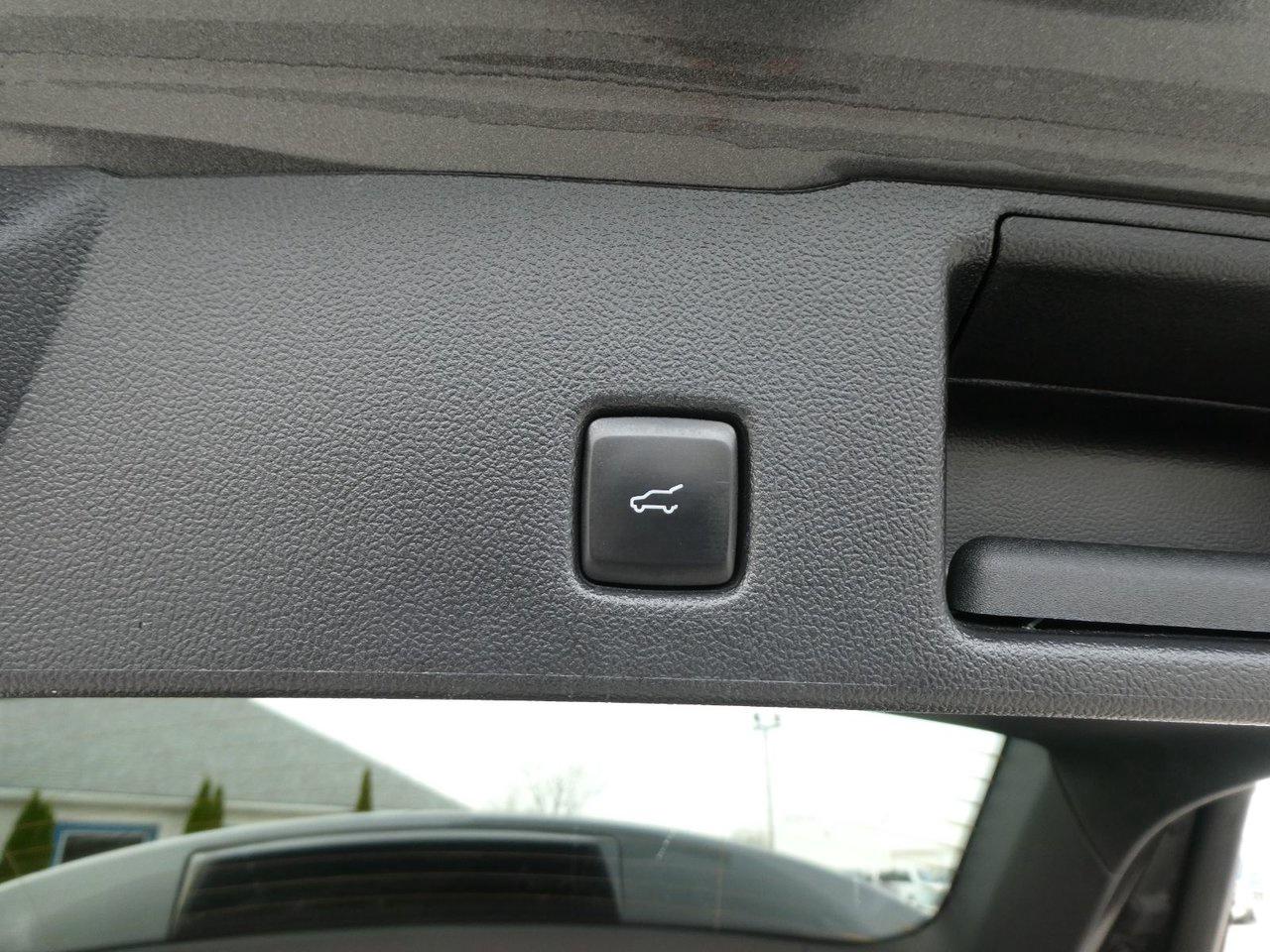 2020 Ford Escape SEL SEL Photo