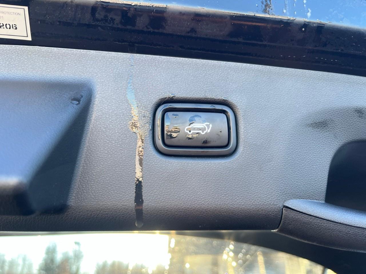 2024 Hyundai Tucson Hybrid N-Line AWD Photo