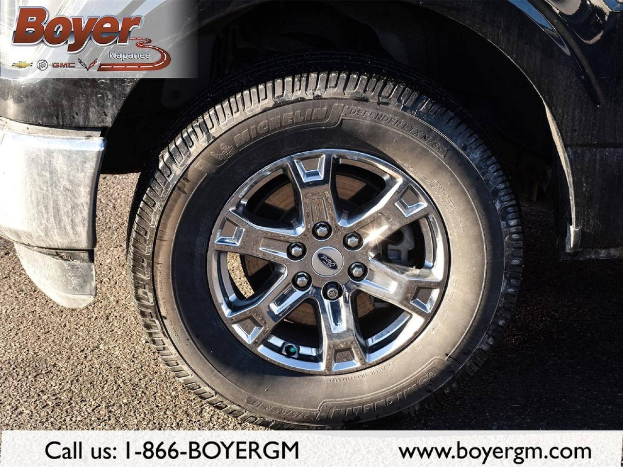 2021 Ford F-150  Photo