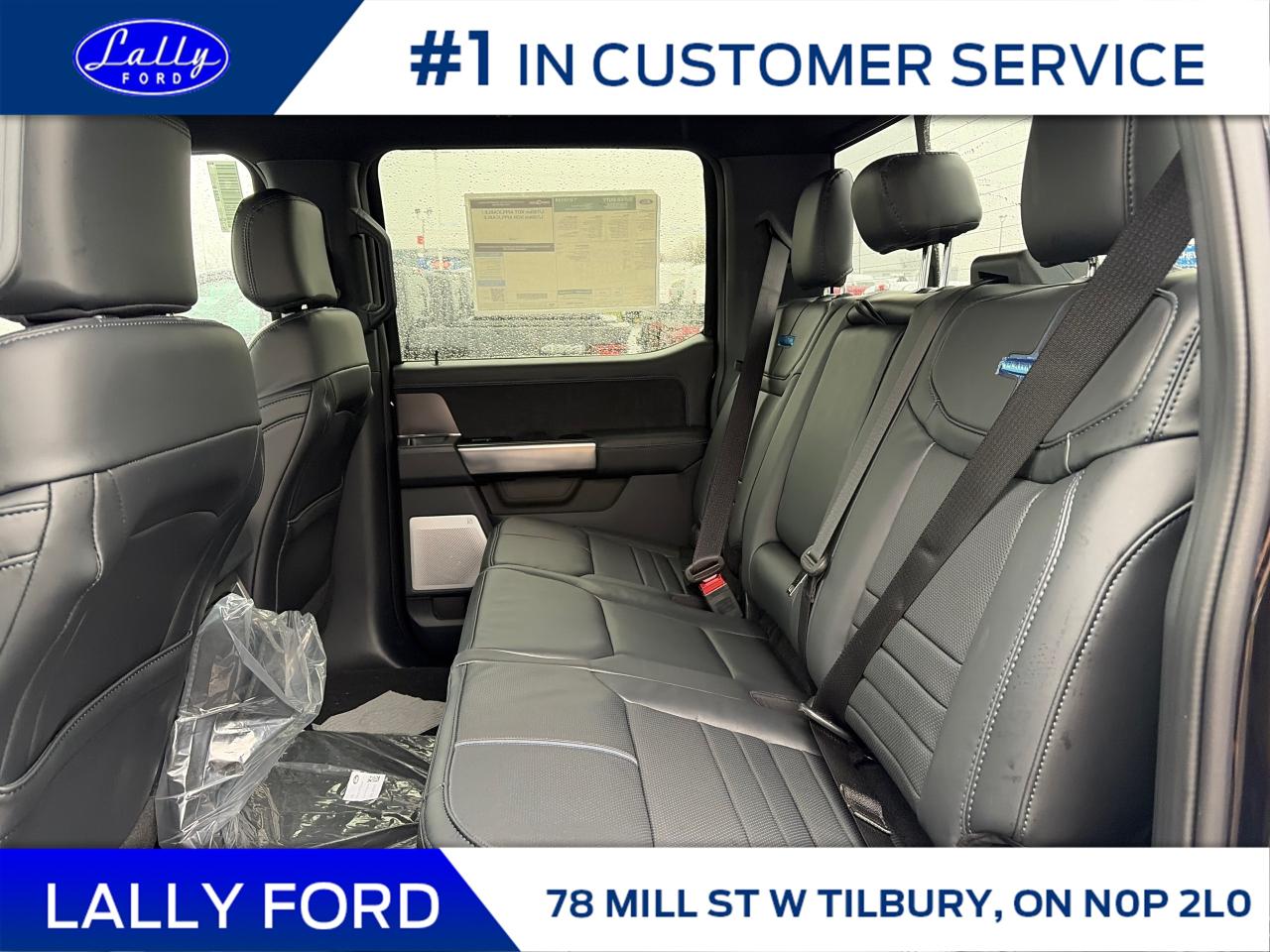 2026 Ford F-250 Platinum Photo