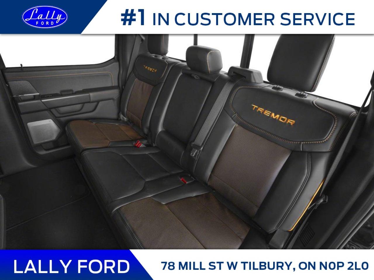 2025 Ford F-150 Tremor Photo