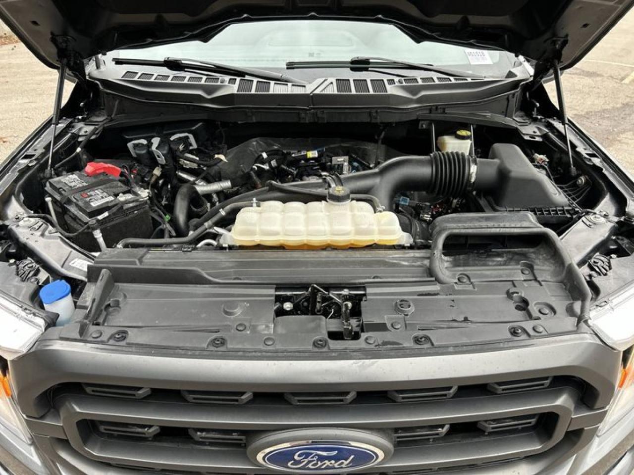 2021 Ford F-150 XLT Sport | Spray in Liner Photo