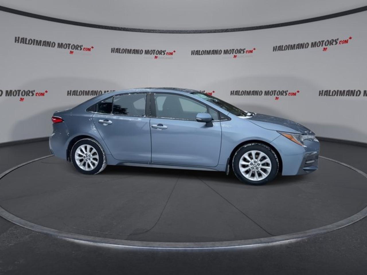 2022 Toyota Corolla SE Photo