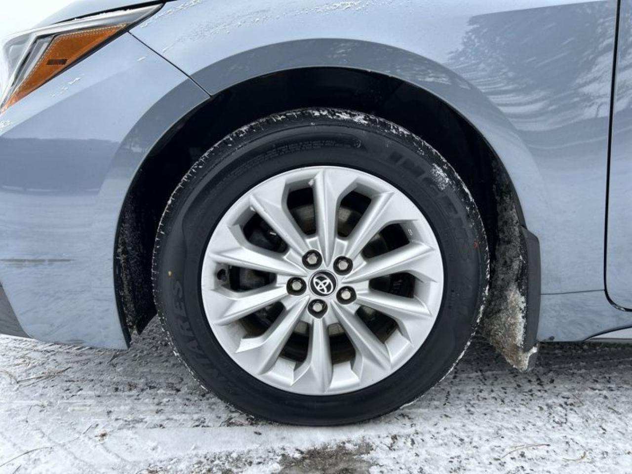 2022 Toyota Corolla SE CVT Photo