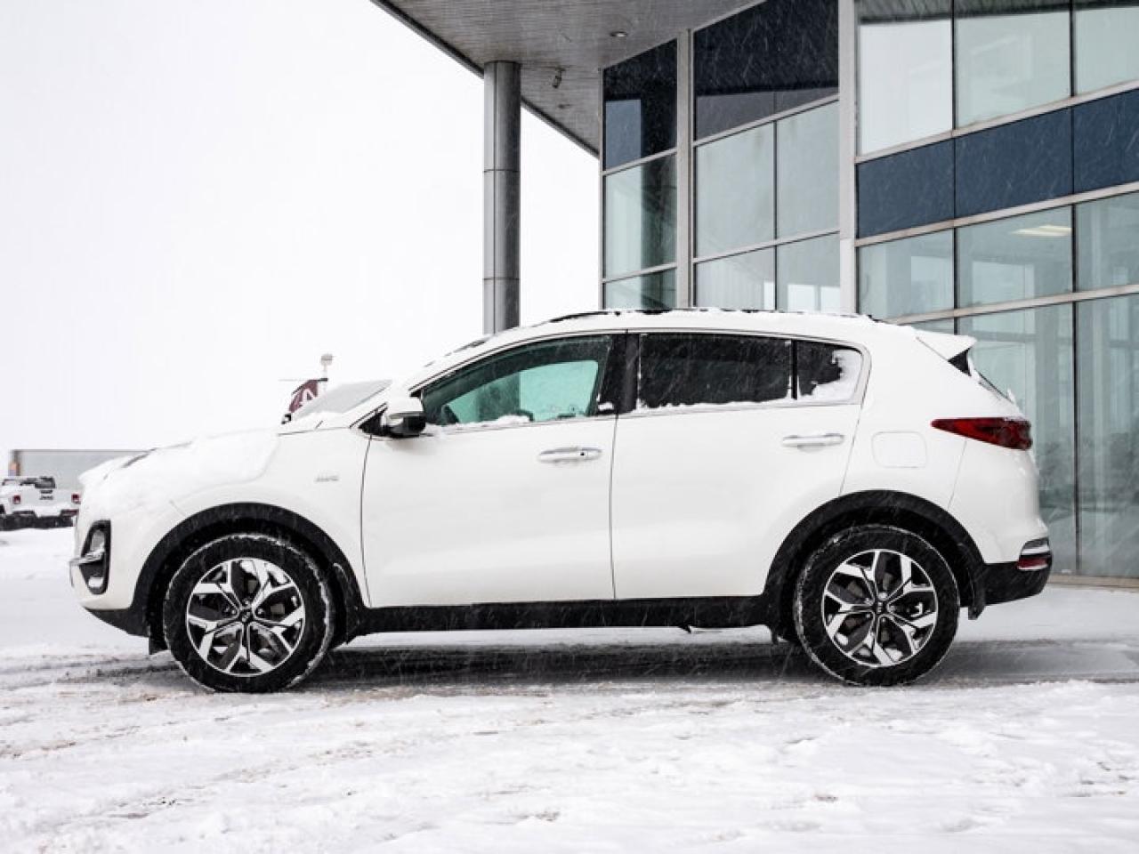 2020 Kia Sportage EX Photo4