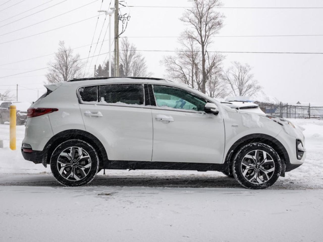2020 Kia Sportage EX Photo