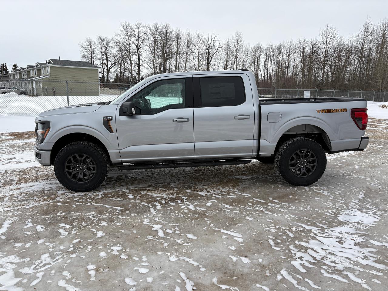 2025 Ford F-150 Tremor Photo2