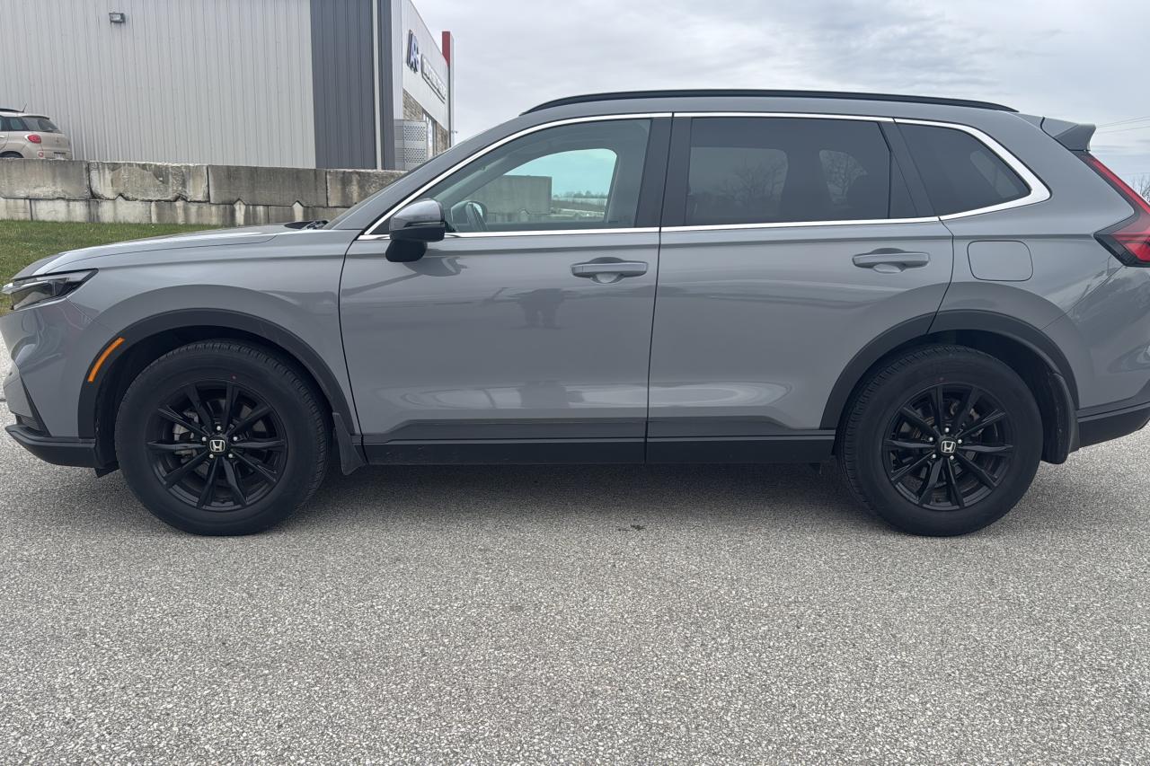 2024 Honda CR-V Sport Photo