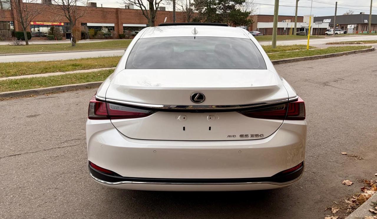2021 Lexus ES ES 250 Photo