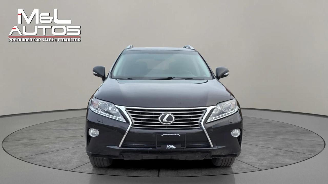 2014 Lexus RX 350  Photo