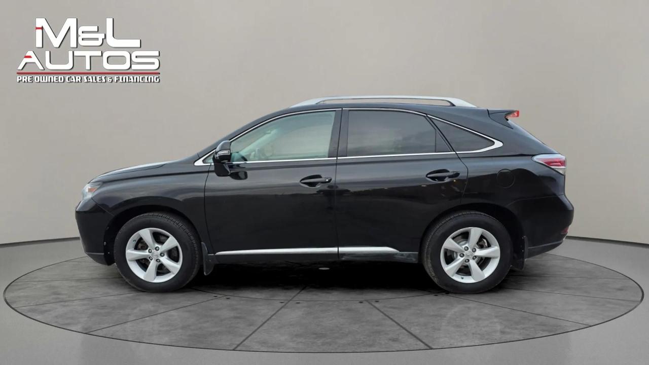 2014 Lexus RX 350  Photo