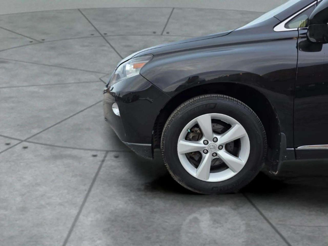 2014 Lexus RX 350  Photo