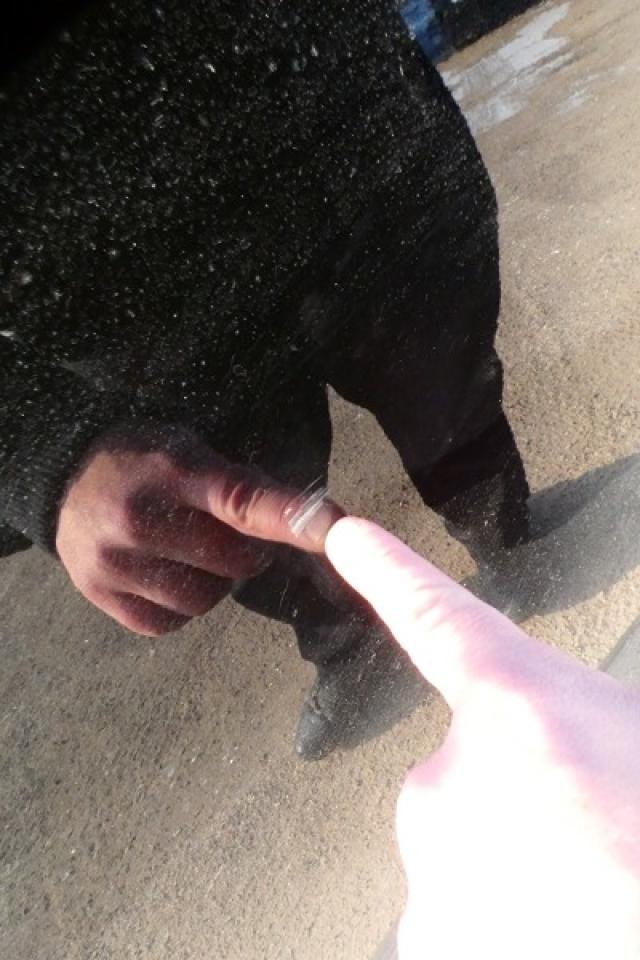 2024 Nissan Rogue SL AWD w/Htd Leather, pano S/R, NAV, BUC - Photo #24