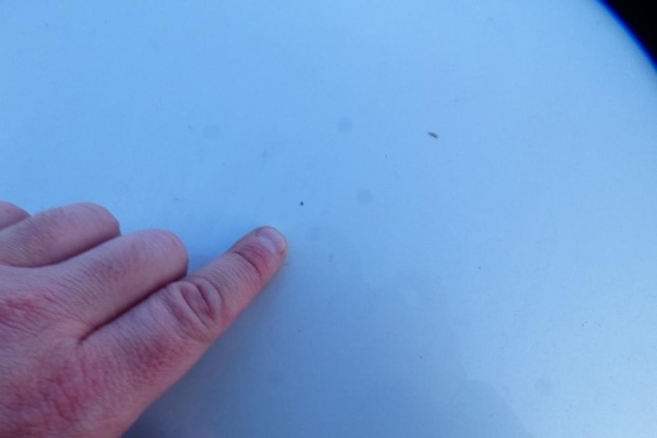 2024 Nissan Rogue SV AWD w/Moonroof, Htd cloth, BUC - Photo #26