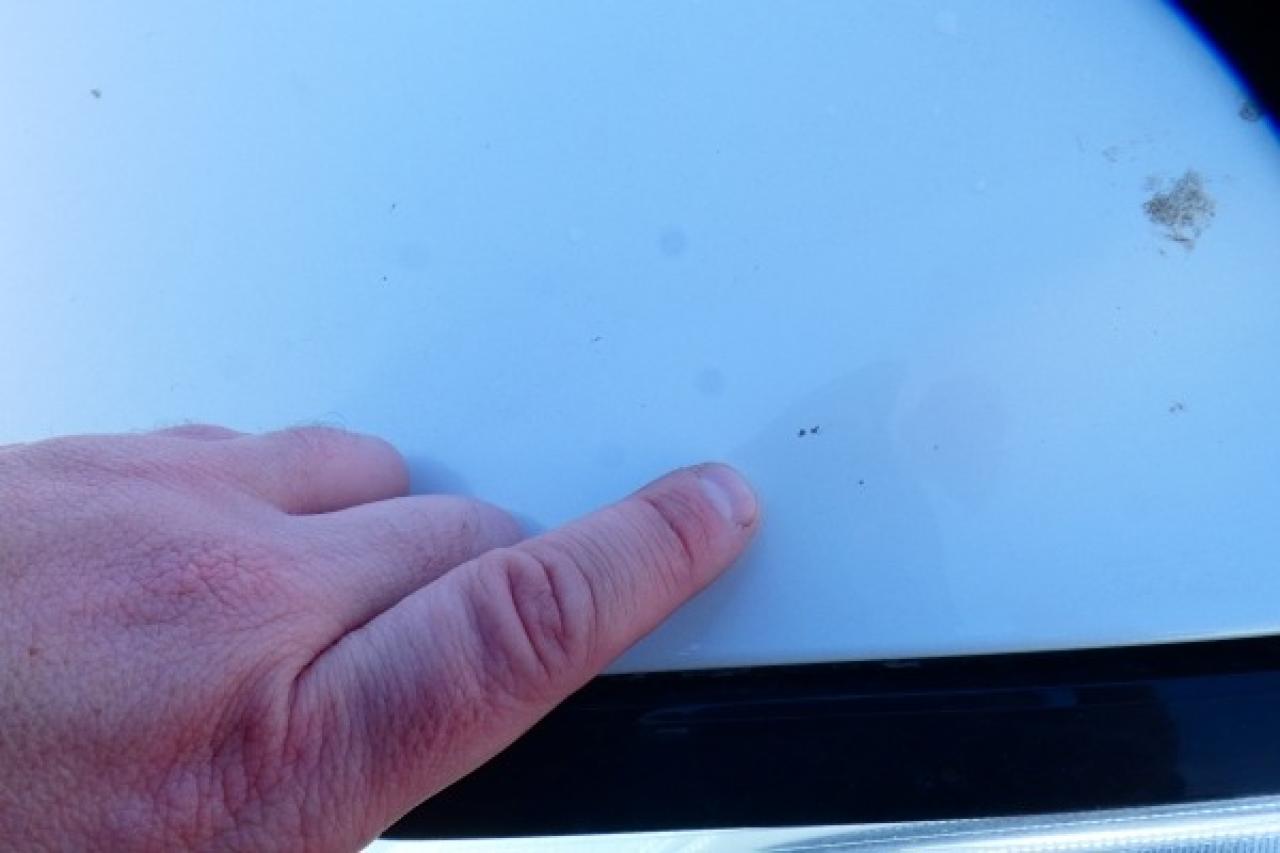 2024 Nissan Rogue SV AWD w/Moonroof, Htd cloth, BUC - Photo #25