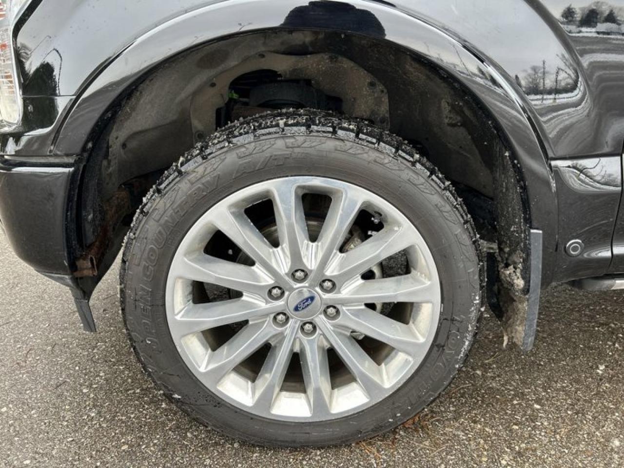 2018 Ford F-150 Crew Limited | AC Seats | Remote Start | 360 Camera Photo