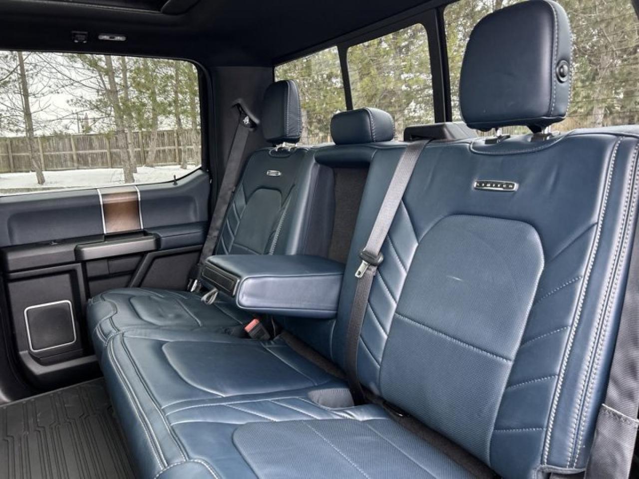 2018 Ford F-150 Crew Limited | AC Seats | Remote Start | 360 Camera Photo