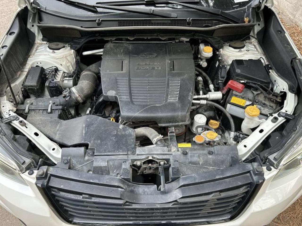 2021 Subaru Forester Sport XMode |  Panoramic Roof |  Leather Seats |  Heated Seats Photo