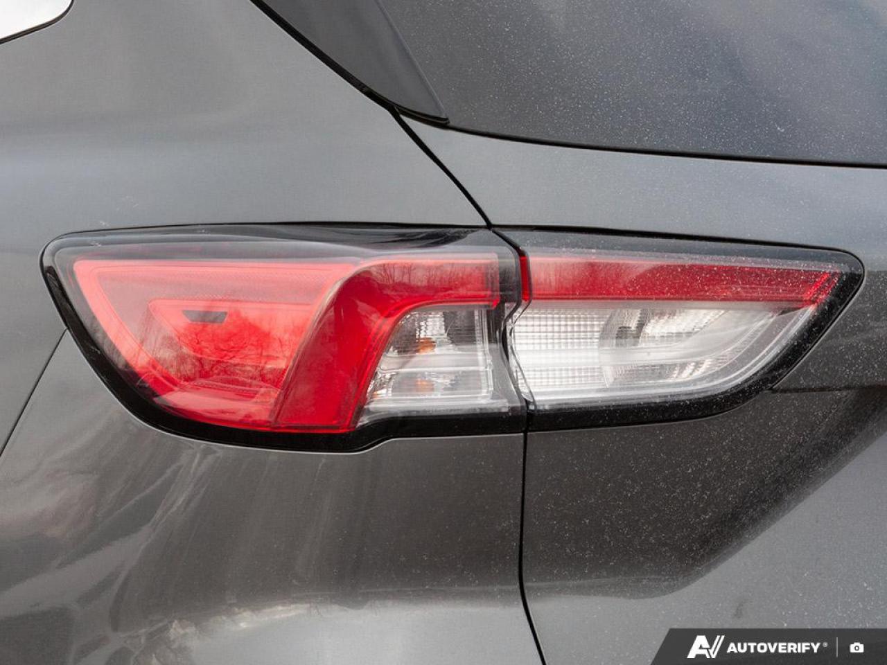 2022 Ford Escape PHEV Titanium Photo