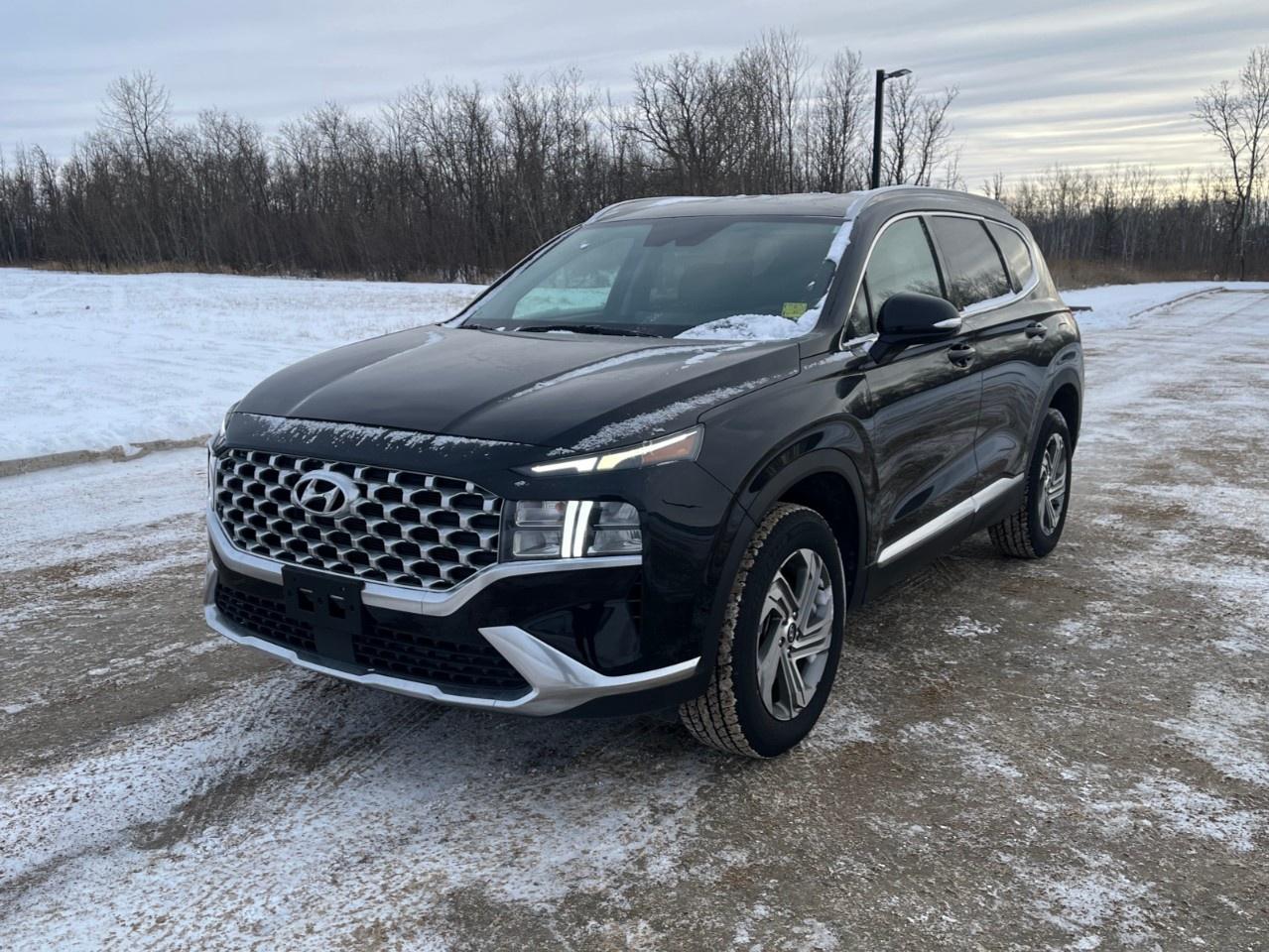 Used 2022 Hyundai Santa Fe Preferred AWD for sale in Selkirk, MB
