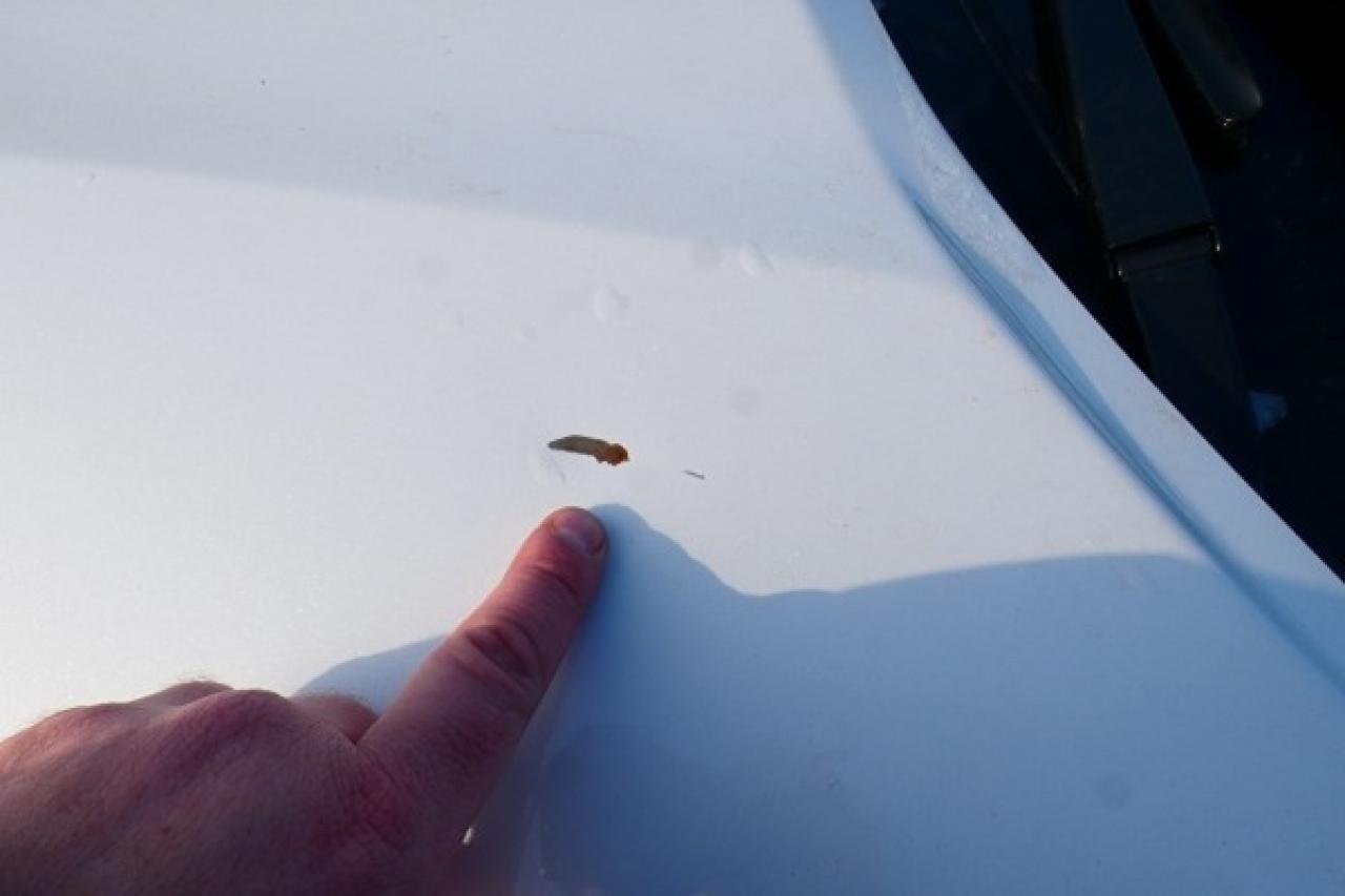 2024 Nissan Kicks SV FWD w/Htd cloth, BUC - Photo #24