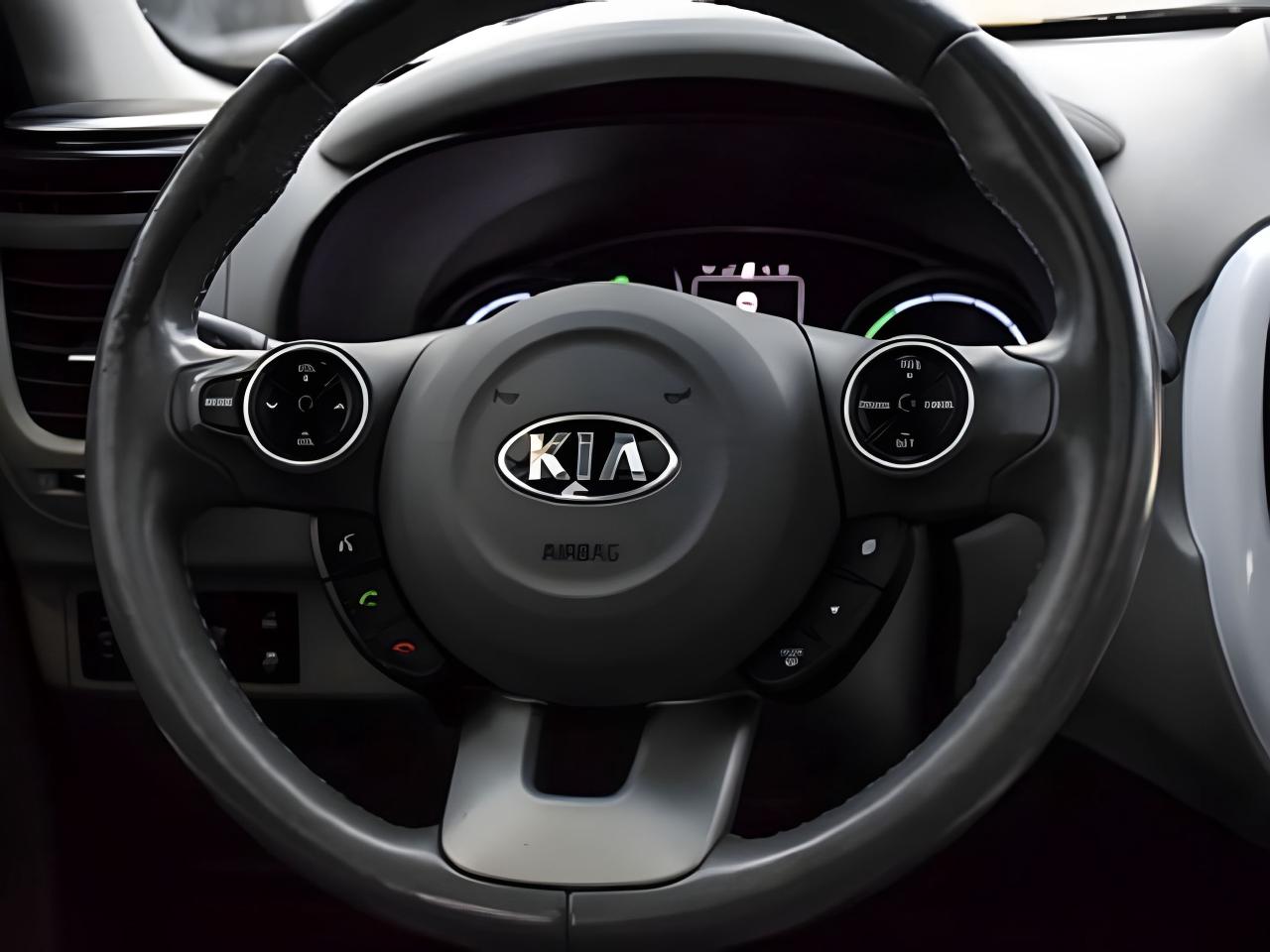 2016 Kia Soul EV Luxury PANroof nav leather MINT WE FINANCE ALL CR. Photo