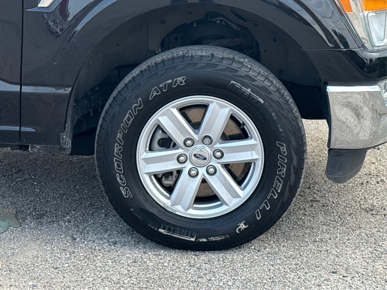 2021 Ford F-150 XL MINT! MUST SEE! WE FINANCE ALL CREDIT! Photo