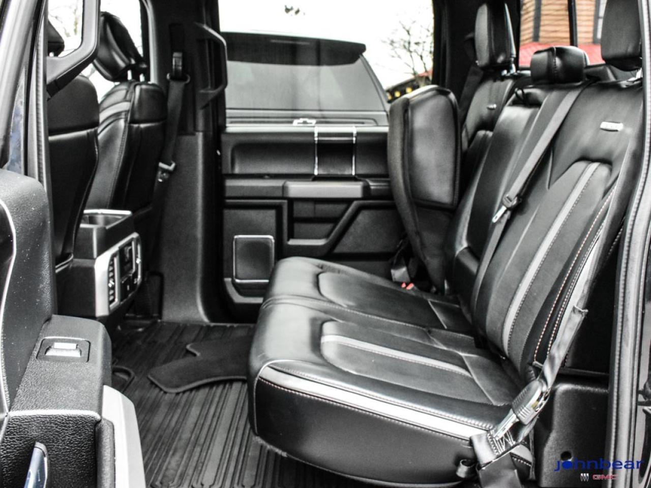 2019 Ford F-150 Platinum Photo