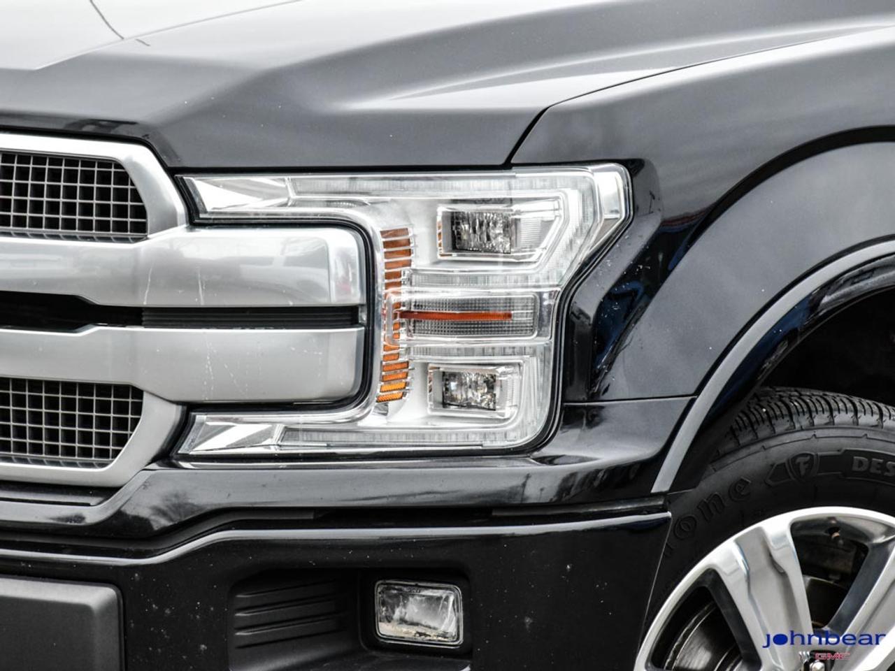 2019 Ford F-150 Platinum Photo