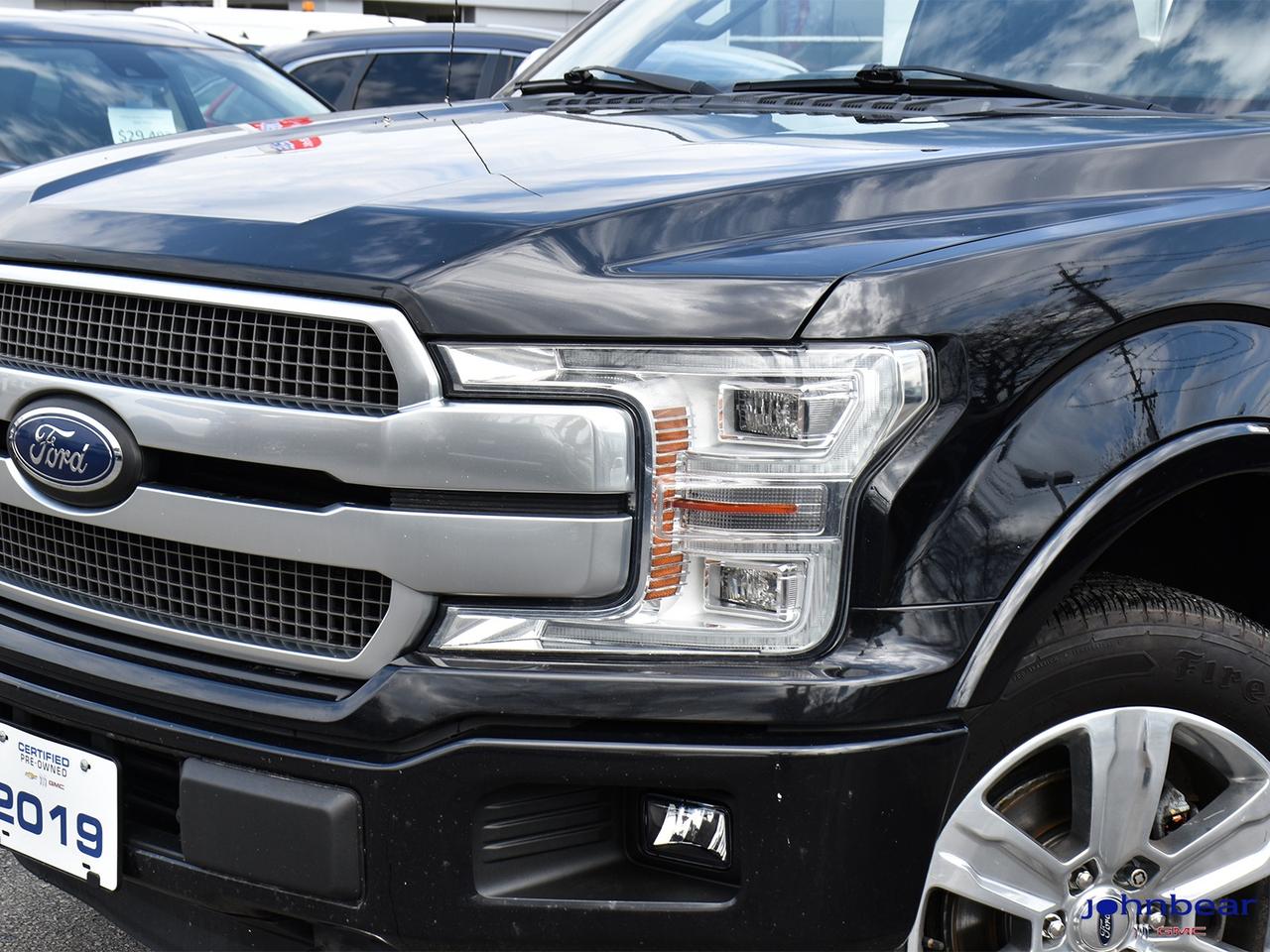 2019 Ford F-150 Platinum Photo2
