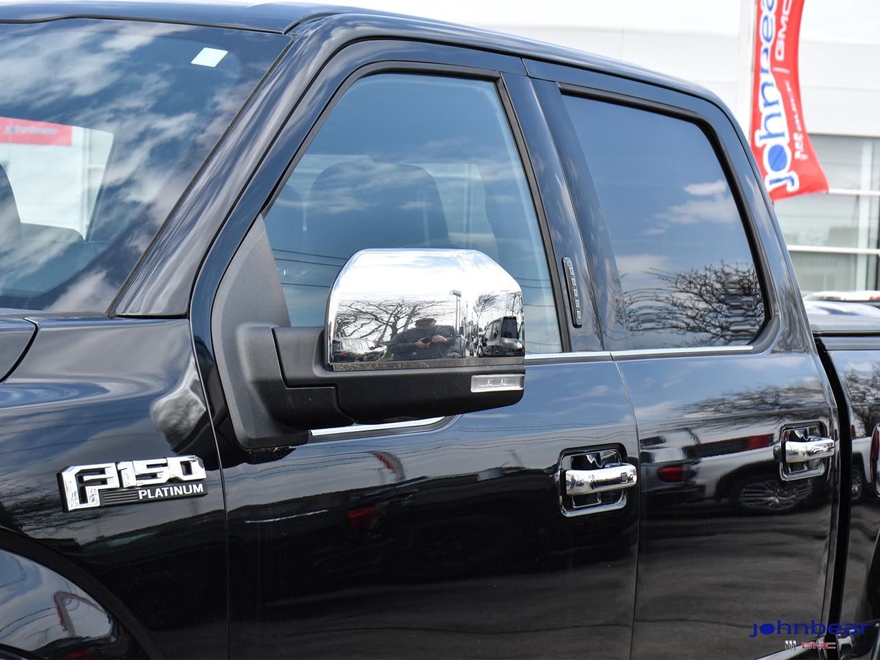 2019 Ford F-150 Platinum Photo