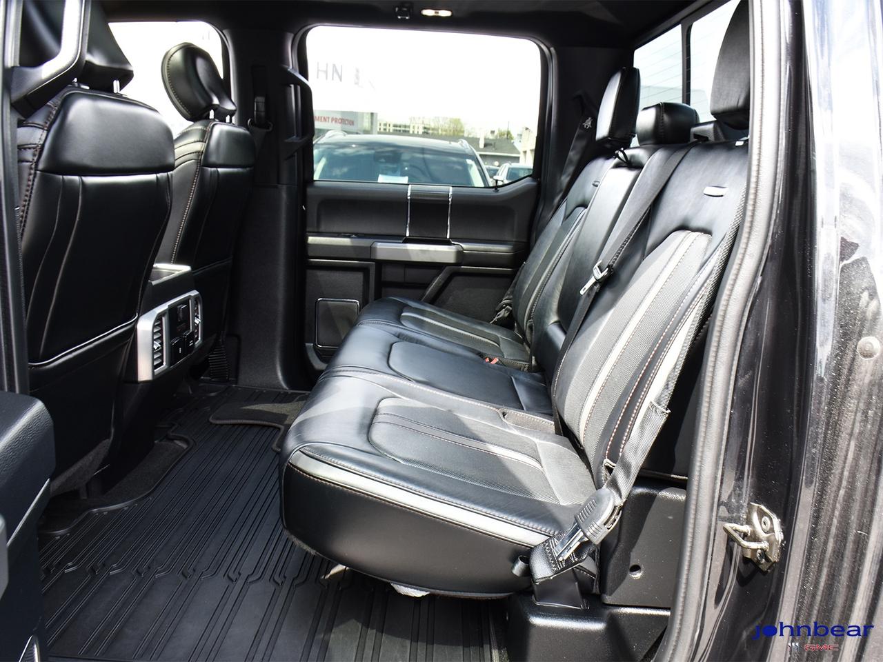 2019 Ford F-150 Platinum Photo