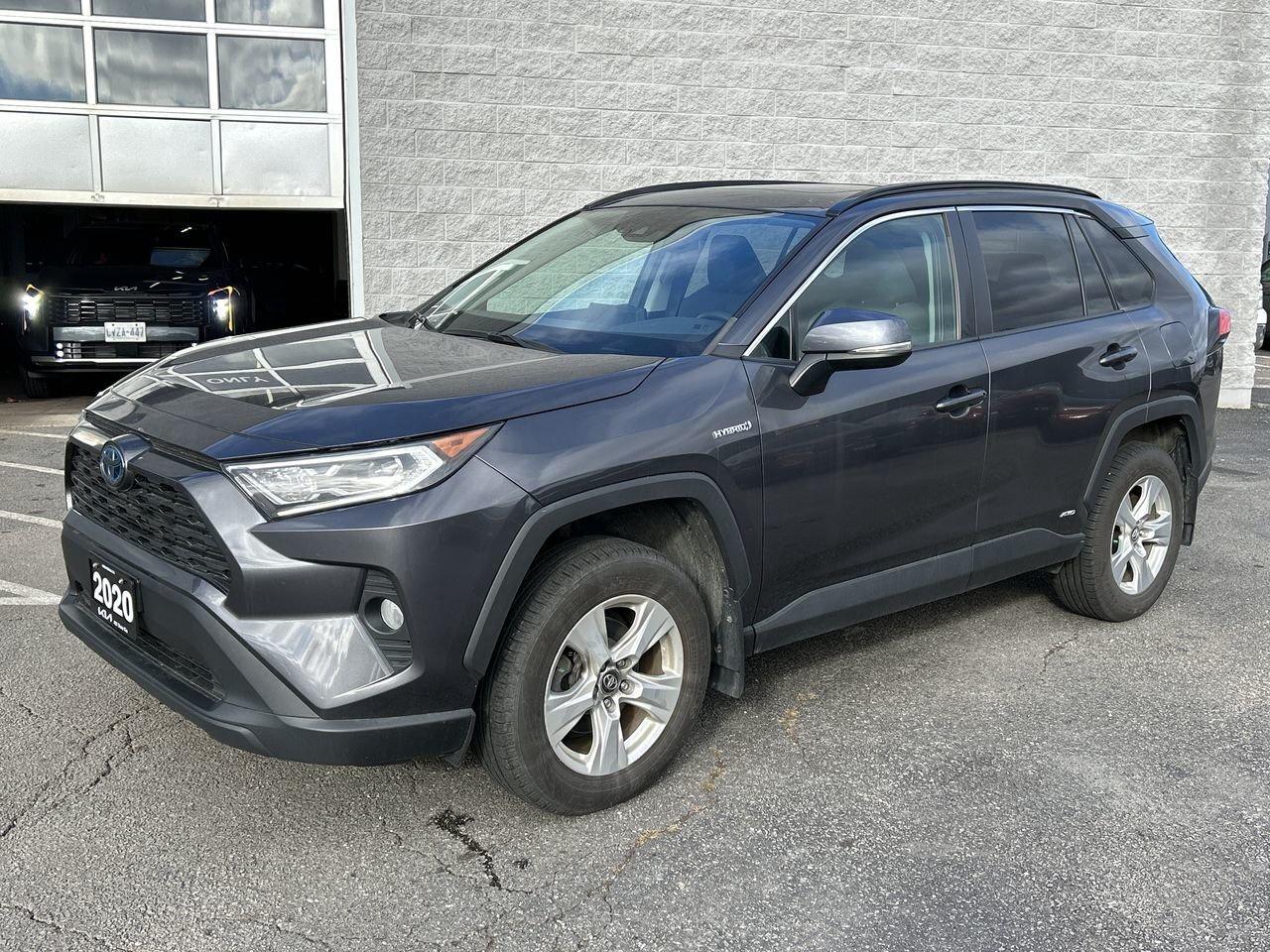 2020 Toyota RAV4 XLE   Reliable, Versatile, and Adventure-Ready Toy Photo