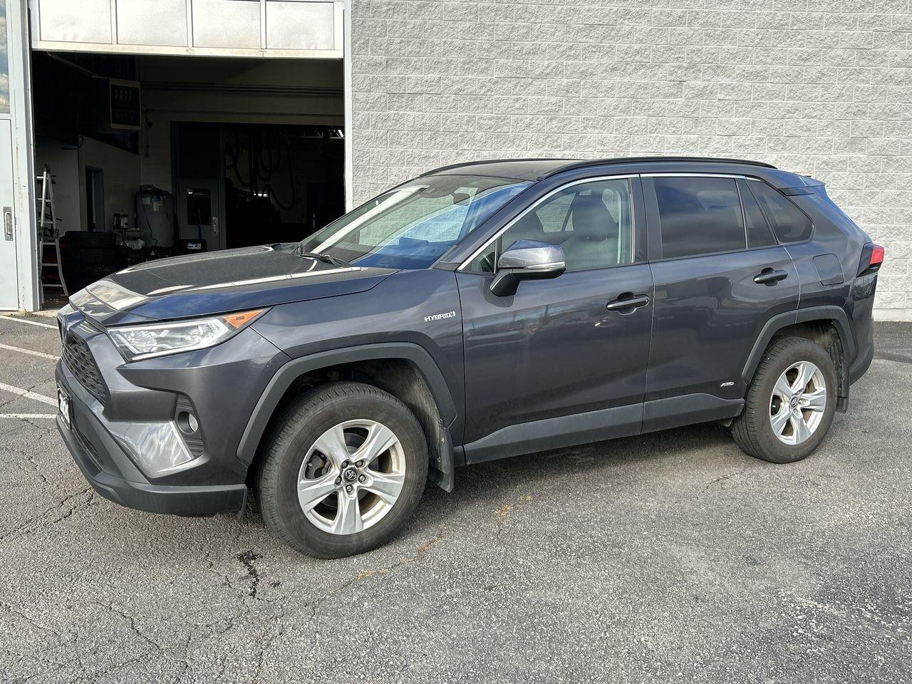 2020 Toyota RAV4 XLE   Reliable, Versatile, and Adventure-Ready Toy Photo