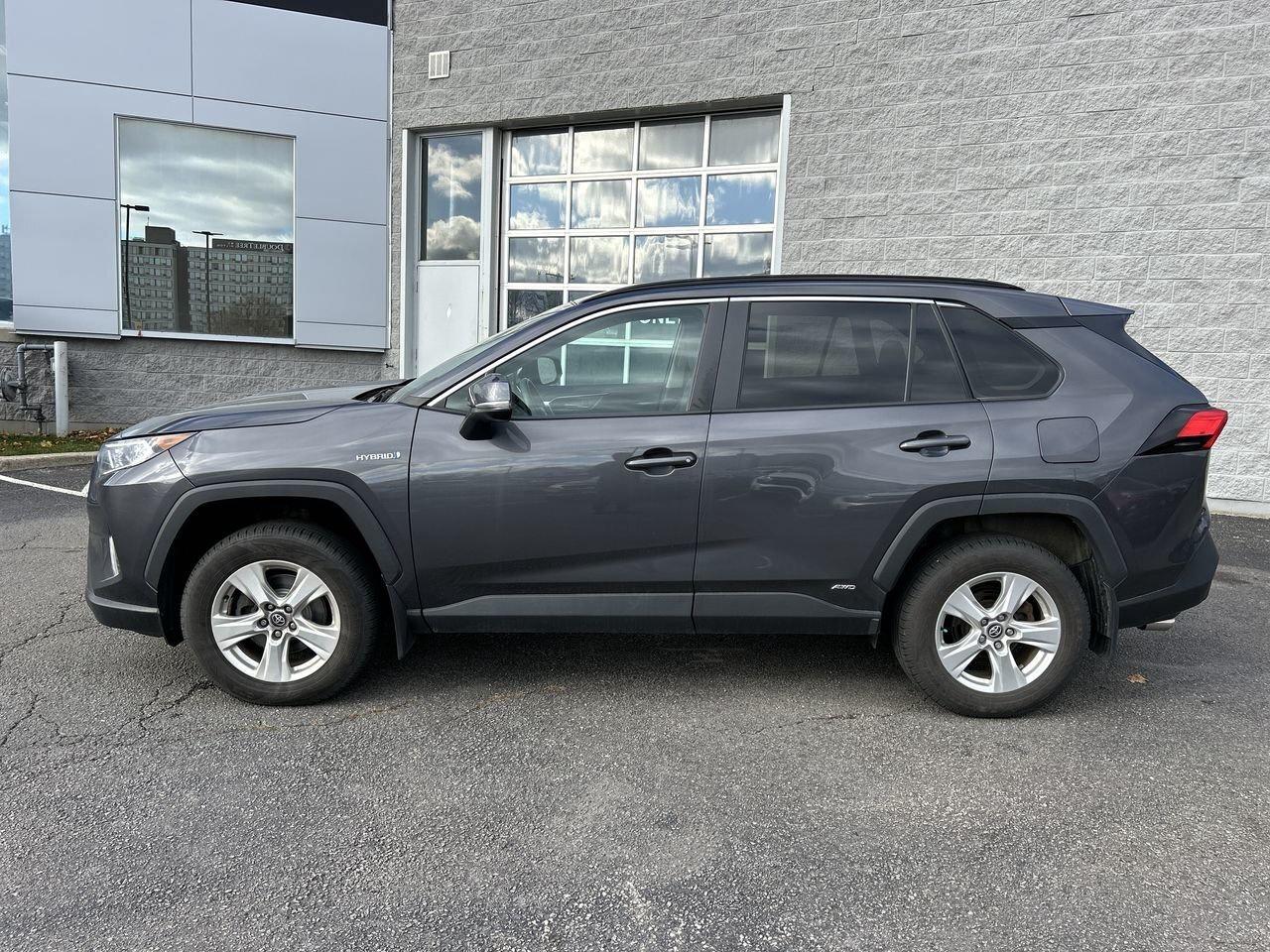 2020 Toyota RAV4 XLE   Reliable, Versatile, and Adventure-Ready Toy Photo