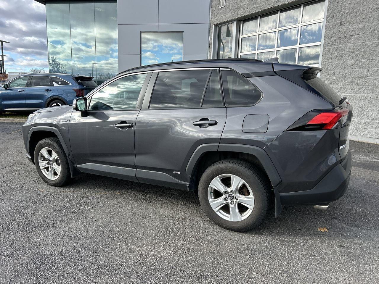 2020 Toyota RAV4 XLE   Reliable, Versatile, and Adventure-Ready Toy Photo