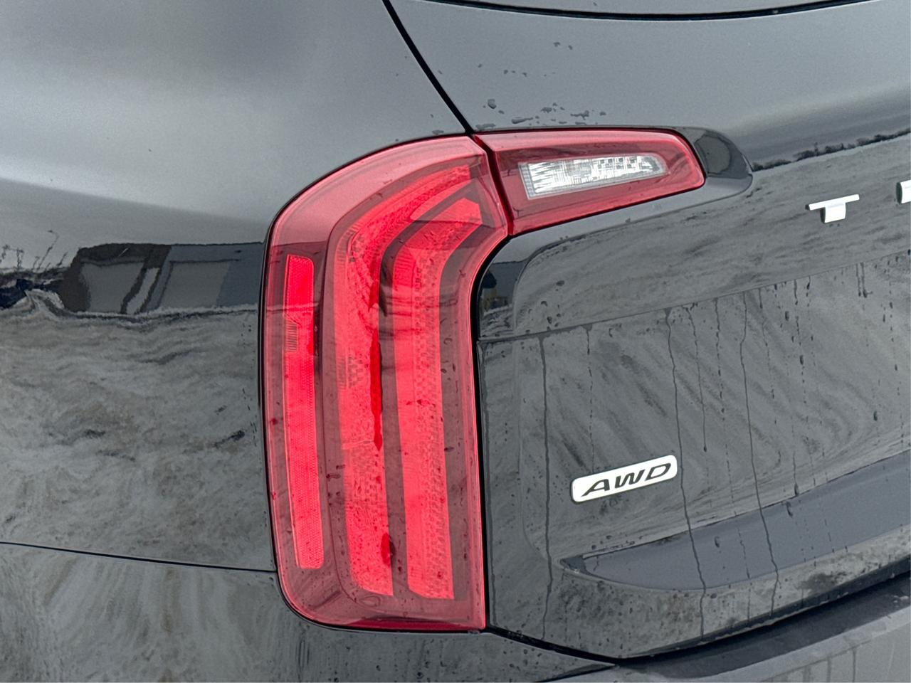 2020 Kia Telluride NAV LEATHER SUNROOF LOADED! WE FINANCE ALL CREDIT Photo