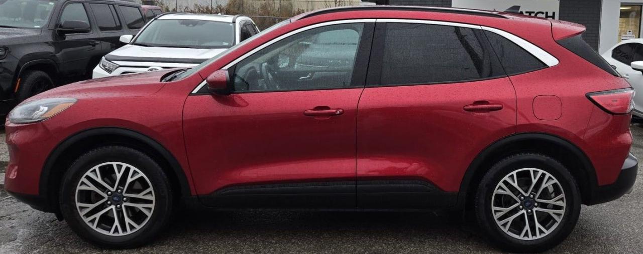 2020 Ford Escape SEL / NO ACCIDENTS / LEATHER / HTD SEATS / AWD - Photo #2