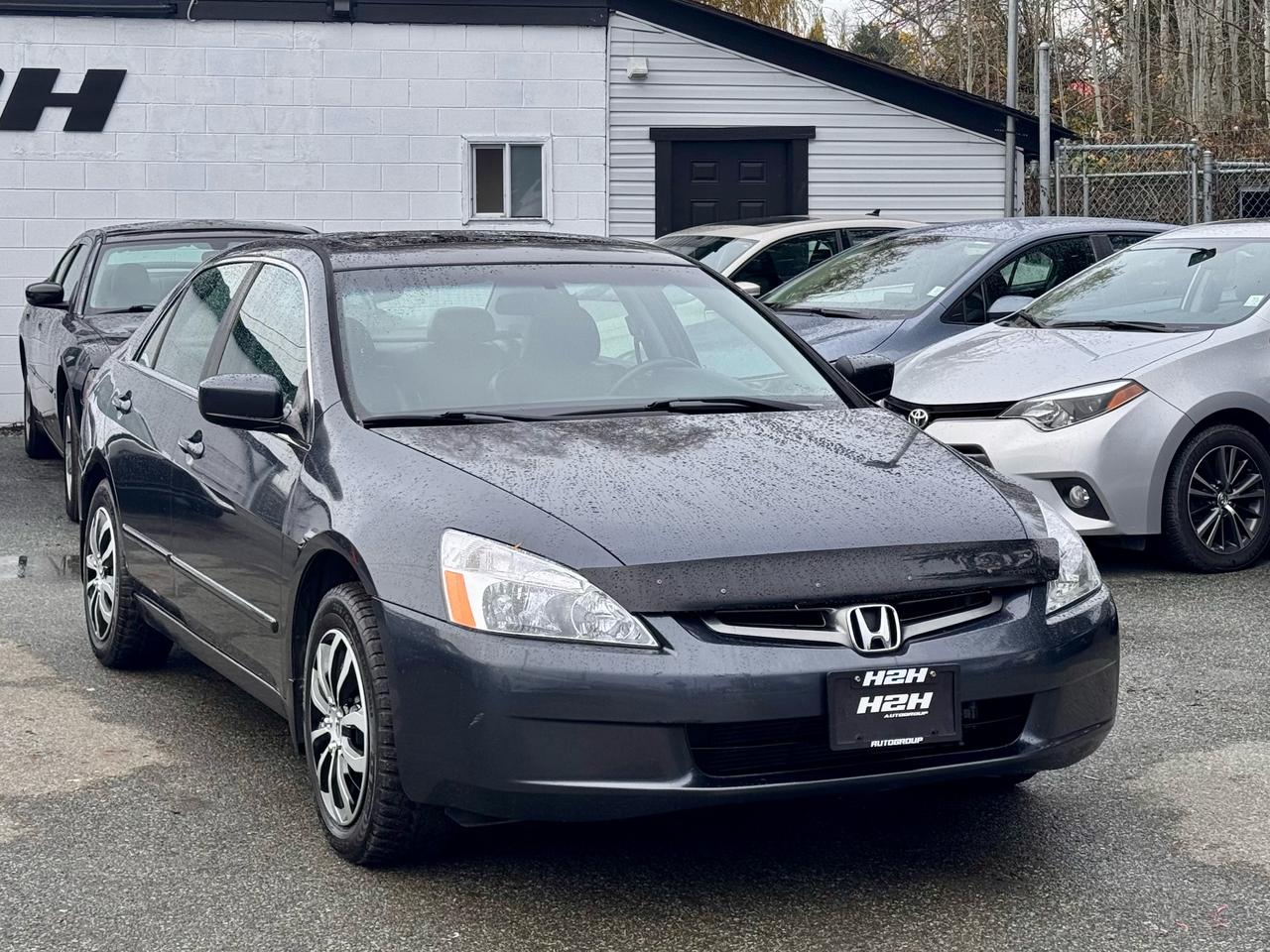 2004 Honda Accord EX-L FINANCING AVAILABLE Photo3